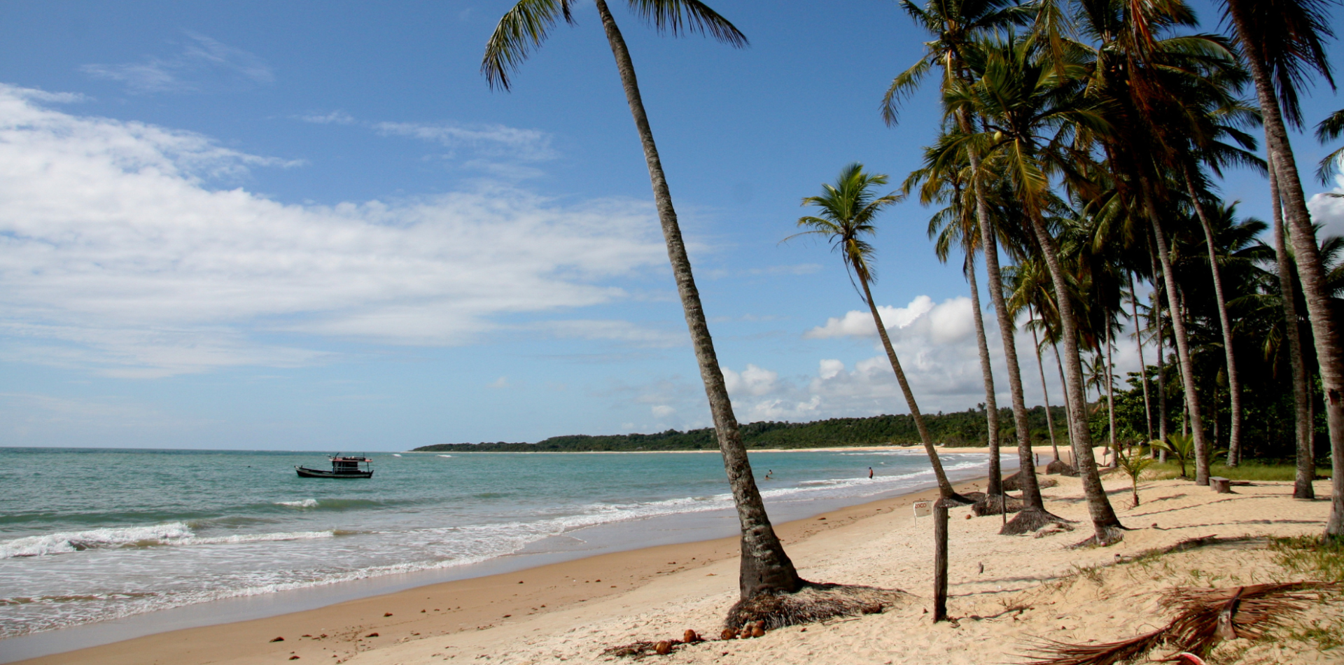 Praia paradisiaca com mar azul e coqueiros na areia