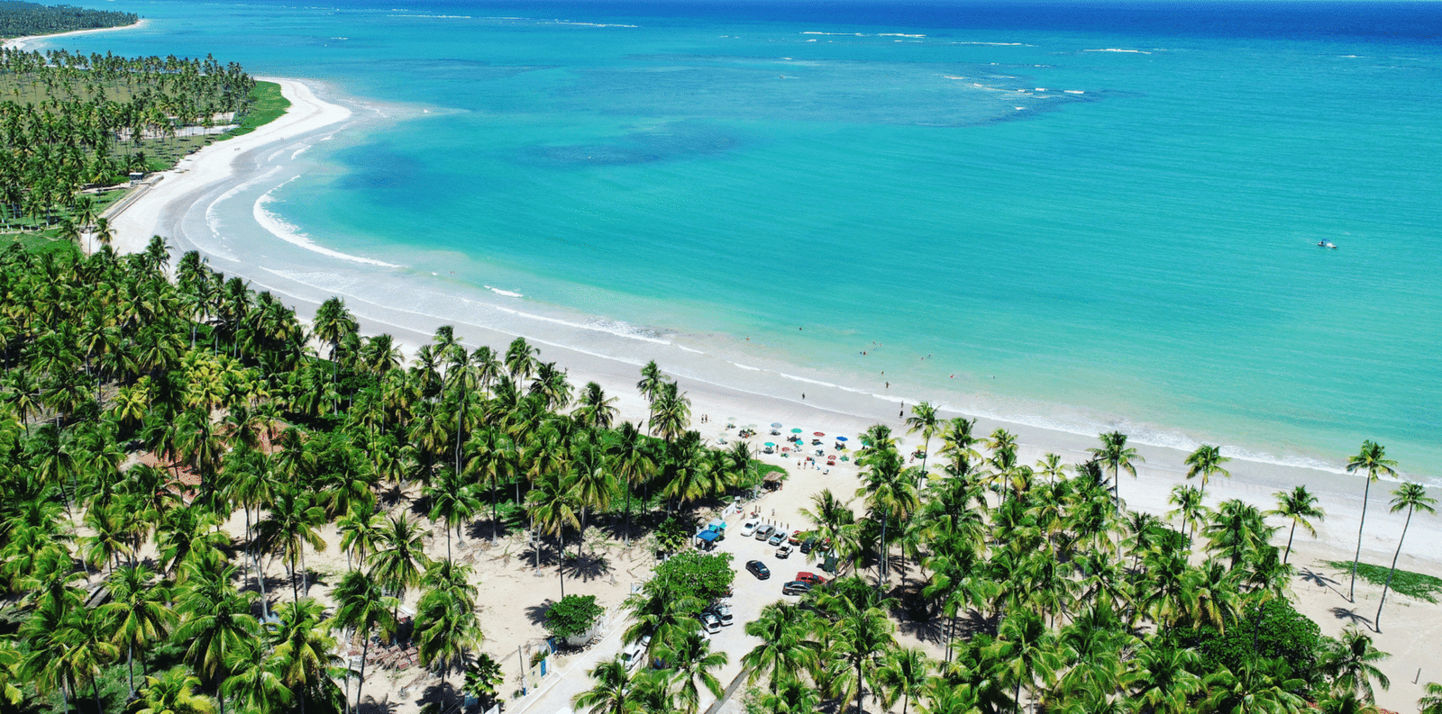 Vista aérea panorâmica de uma praia paradisíaca com mar em tons de azul vibrante e verde-água, uma longa faixa de areia branca e uma densa floresta de coqueiros verdes que se estende por toda a costa sob o sol.