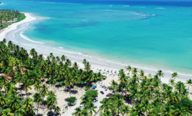 Vista aérea panorâmica de uma praia paradisíaca com mar em tons de azul vibrante e verde-água, uma longa faixa de areia branca e uma densa floresta de coqueiros verdes que se estende por toda a costa sob o sol.