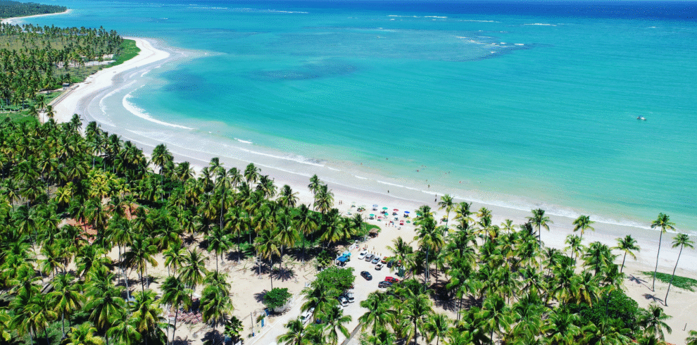 Vista aérea panorâmica de uma praia paradisíaca com mar em tons de azul vibrante e verde-água, uma longa faixa de areia branca e uma densa floresta de coqueiros verdes que se estende por toda a costa sob o sol.