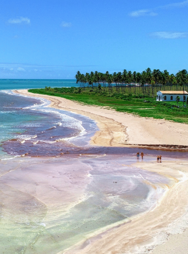 Vista de uma praia onde um rio de águas calmas se encontra com o mar azul. Vários turistas caminham pela faixa de areia clara em direção à margem do rio. Ao fundo, uma linha densa de coqueirais verdes completa a paisagem sob o sol.