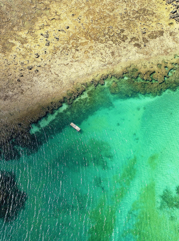 Vista panorâmica das piscinas naturais de São Miguel dos Milagres, Alagoas. A imagem mostra bancos de corais submersos sob águas extremamente transparentes e rasas em tons de azul e verde, com o céu azul refletido na superfície.