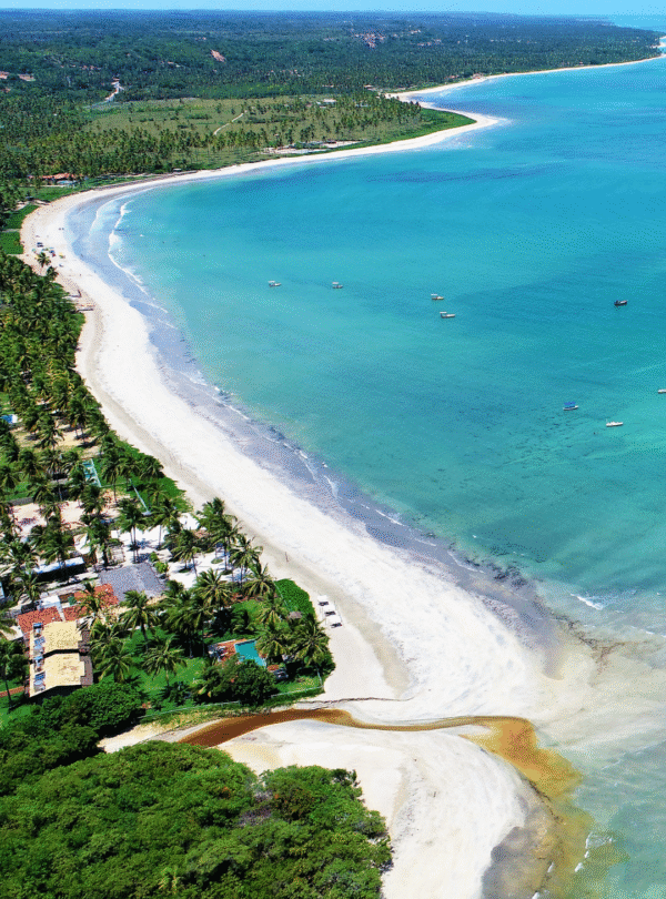 Vista aérea panorâmica do encontro de um rio de águas calmas e escuras com o mar azul turquesa. Uma extensa faixa de areia clara separa as águas, onde pequenos pontos indicam turistas caminhando. Ao fundo, uma densa floresta de coqueiros verdes sob o sol.