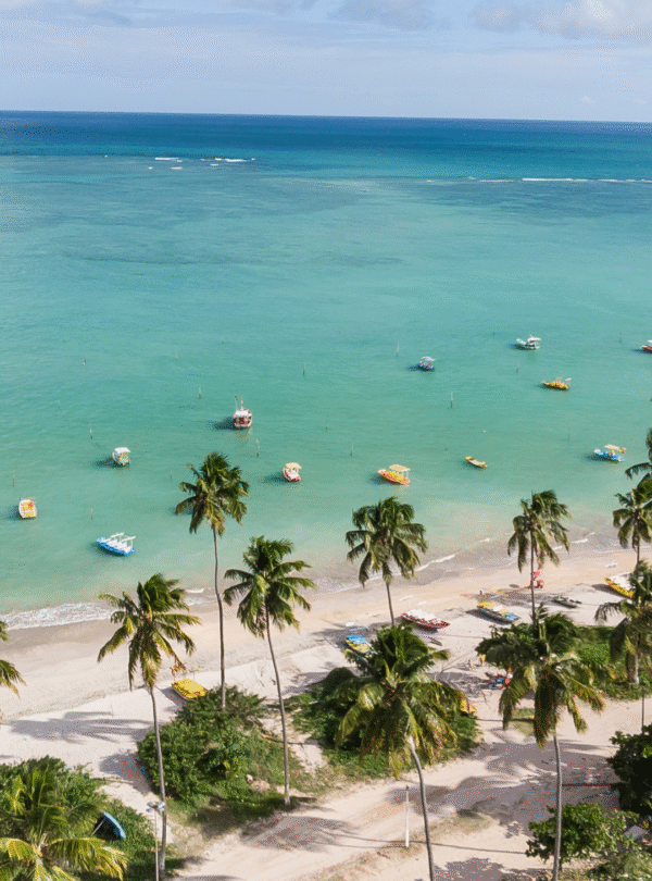 Vista aérea panorâmica da orla de São Miguel dos Milagres, Alagoas. A imagem destaca o mar azul turquesa com barcos e jangadas coloridas atracados, uma extensa faixa de areia branca e uma linha densa de coqueiros verdes.